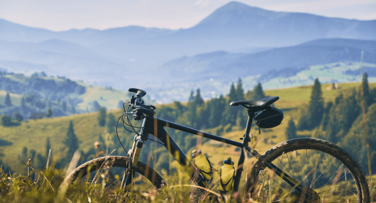 Read more about the article Using OceanWP Theme’s eCommerce Features for Your Sale Bikes Website